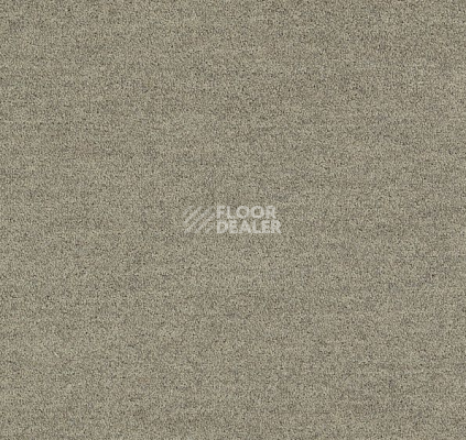 Ковровая плитка Interface Polichrome Solid 4266007 Shiitake фото 1 | FLOORDEALER